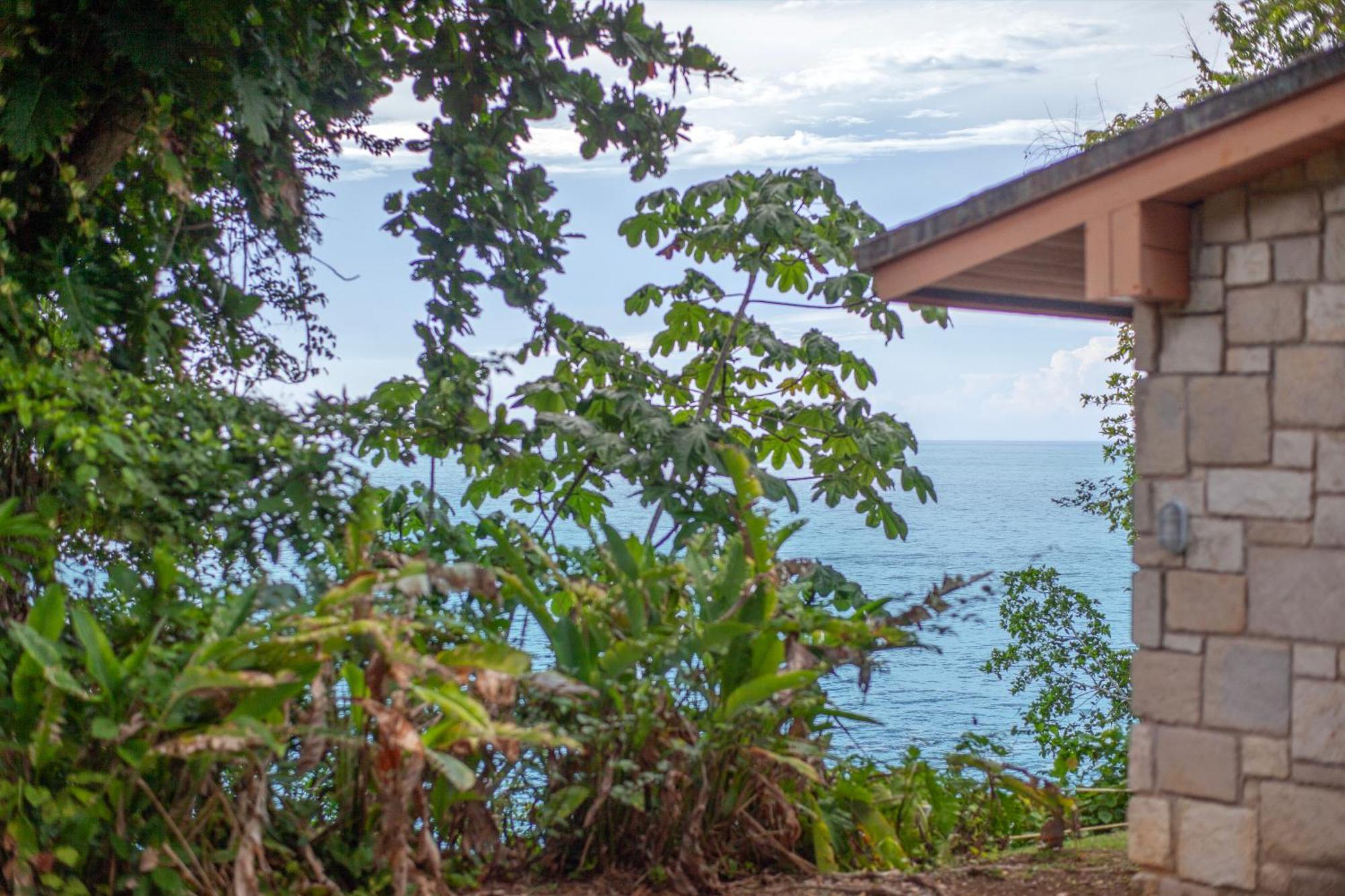 Frenchman'S Cove Resort Порт-Антонио Экстерьер фото
