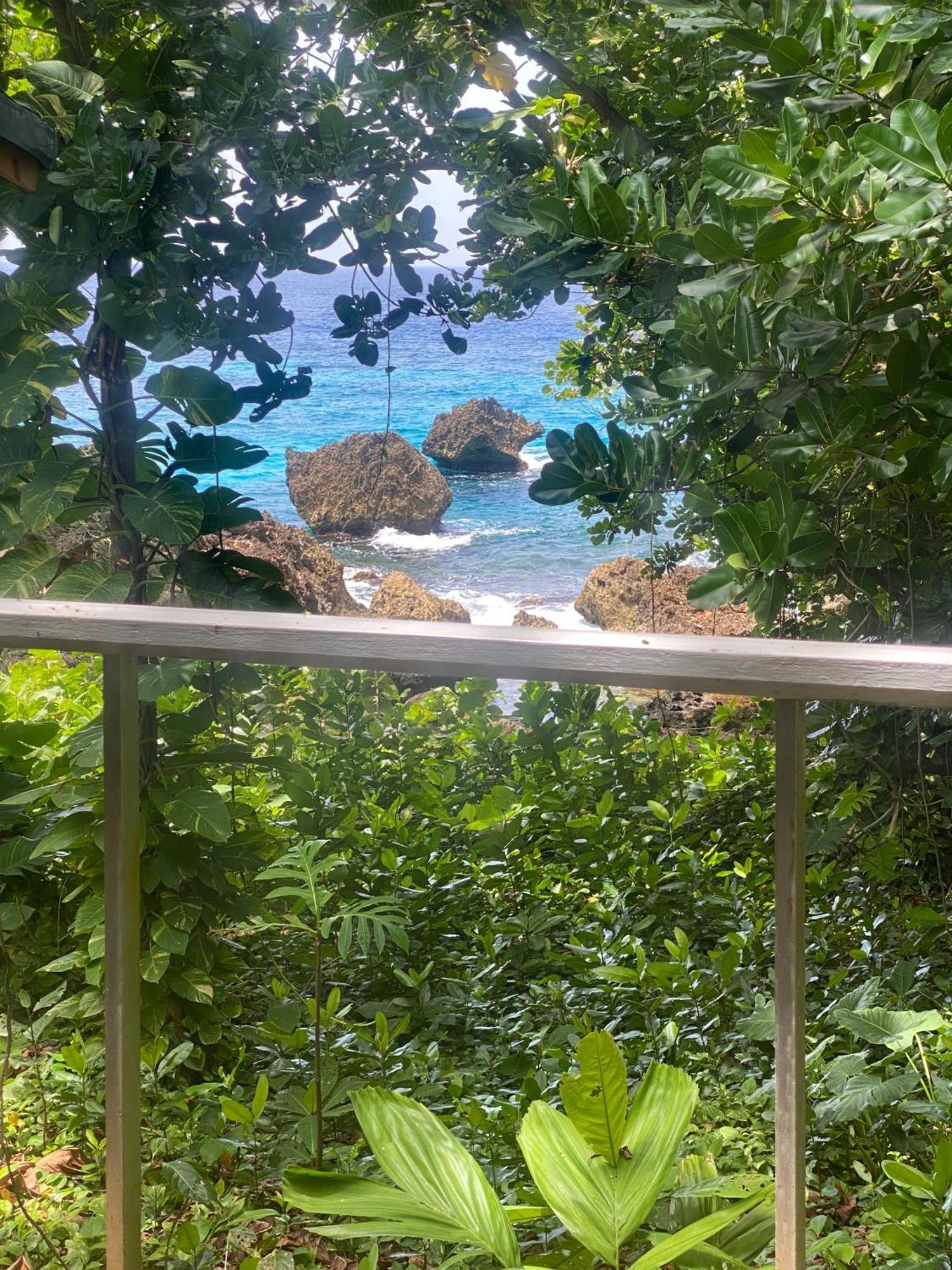 Frenchman'S Cove Resort Порт-Антонио Экстерьер фото